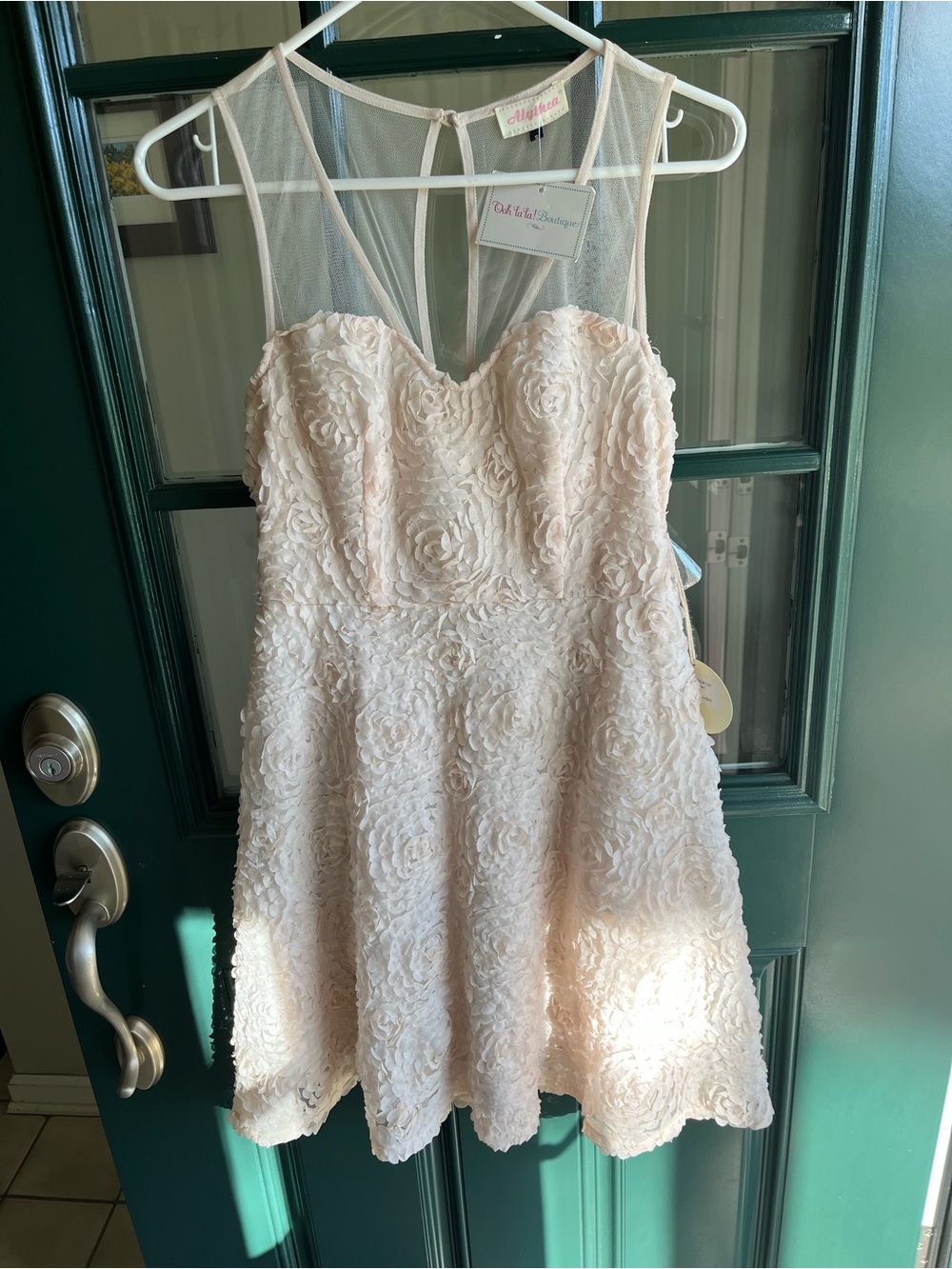 Alythea Girls' Light Blush Rose Appliqué Party Dress